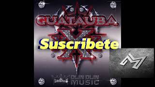 Plan B  GUATAUBA Doble Tono Audio Official ´´Musica Azules´´ [upl. by Lachish]