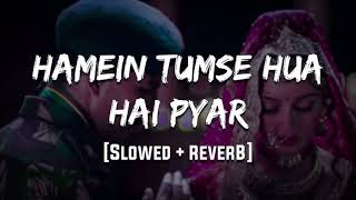 Hame Tumse Hua Hai Pyar FULL SONG trending viralvideo bollywood reverbsong shorts [upl. by Hescock]