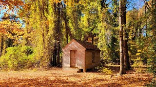 Thoreau Walden Pond Cabin Tour [upl. by Spearing194]