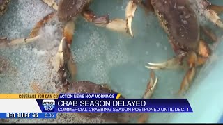 Commercial crabbing season in California postponed until Dec 1 [upl. by Warenne]