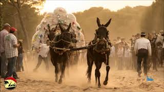 SEVILLANAS ROCIERAS COSITAS DEL ROCIÓ SEVILLANAS CAMINOS POR LA RAYA MEJORES OLEE  Video Oficial [upl. by Iliam]