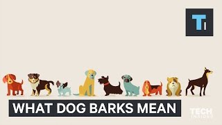 ▶️ Barking Dogs To The Max Barking Dogs Sounds Dogs Barking Noises 12 Hours 🌏 [upl. by Daron]