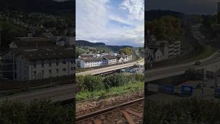 schaffhausen schweiz suisse schwitzerland shorts yt [upl. by Jeanine]