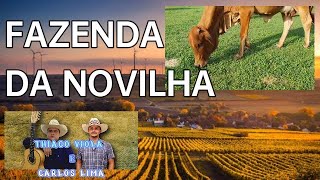 FAZENDA DA NOVILHA THIAGO VIOLA E CARLOS LIMA [upl. by Ennailuj]