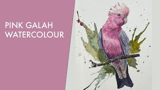 Pink Galah Cockatoo detailed watercolour painting [upl. by Burley733]