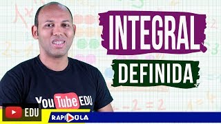 INTRODUÇÃO AO CURSO DE INTEGRAL 05 🚨🚨 INTEGRAL DEFINIDA [upl. by Ylenaj]