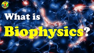 What is Biophysics [upl. by Nicolais]