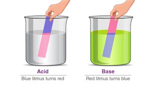 Acid base buffer 😊 [upl. by Jarvey]