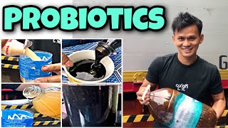 DIY PROBIOTICS FOR MY FREE RANGE CHICKEN  BUHAY PROBINSYA [upl. by Eelame]