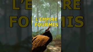 LP Narratif sur le jeu Les Fourmis un tout nouveau rts  gaming fourmis [upl. by Nylrebma765]