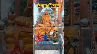 Esa Damru Bajaya Bholenath Ne ytshort shiv song viral video [upl. by Niahs]