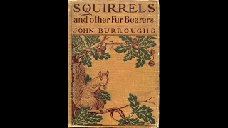 Squirrels and other FurBearers by John Burroughs  Audiobook [upl. by Hayidan739]