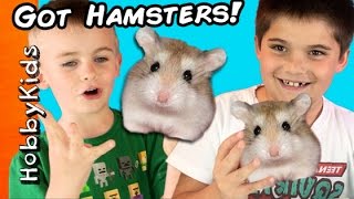 HobbyKids Buy Hamsters Petco Toy Shopping Haul HobbyKidsTV [upl. by Cormac]