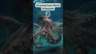 Incredible Octopus Facts You Didnt Know zapetv facts animals [upl. by Edrahc]