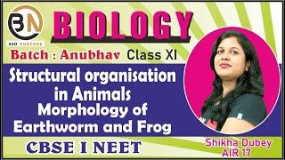 STRUCTURAL ORGANISATION IN ANIMALSMORPHOLOGY OF EARTHWORM AND FROG CLASSXI BIOLOGY NEET 2025 [upl. by Anilegna413]