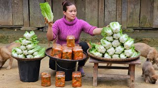 3 Days How to Make Your Own Kimchi from Napa Cabbage  Harvest vegetable  Lý Thị Ca [upl. by Ila]