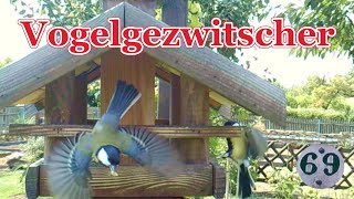 Vogelgezwitscher an der Futterstelle  Invasion am Vogelhaus [upl. by Adnolat615]