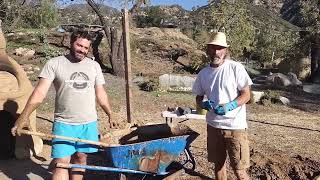 How to use Nopal Cactus in an Earthen Plaster [upl. by Llertak]