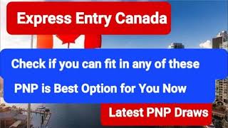 Express Entry Canada II Latest PNP Draws II CanadaPR II IRCC II New Pathway II [upl. by Elleb]