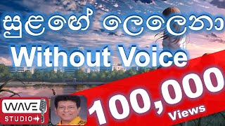 Sulage Lelena Malse dagapa Karaoke Without Voice සුළඟේ ලෙලෙනා Karaoke Sulage Lalana Karaoke [upl. by Nel]