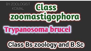 CLASS ZOOMASTIGOPHORA from phylum sarcomastigophora protozoa millerandharley bsczoology zoology [upl. by Staffan]