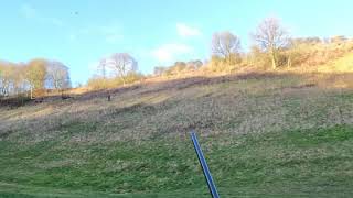 Warter priory pheasant shooting in slow motion with Ben Husthwaite [upl. by Nnael831]