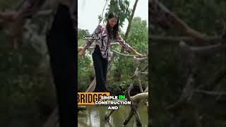 Crossing the Challenging Monkey Bridges in Vietnam [upl. by Brier]