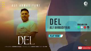 Ali Ahmadiyani  Del  OFFICIAL AUDIO TRACK علی احمدیانی  دل [upl. by Llemert734]