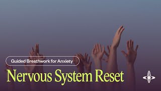 Nervous System Reset  Guided Breathwork 22 minutes [upl. by Kong]