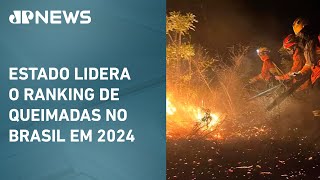 Incêndios devastam mais de 50 das cidades de Mato Grosso [upl. by Arias716]