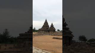 butterball chennai puducherry mahabalipuram mahabalipuramtemple travel shoretemple seashore [upl. by Diantha823]