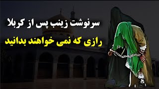 سرنوشت زینب پس از کربلابه ما دروغ گفتند [upl. by Esiole658]