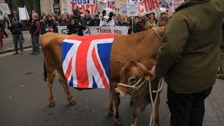 Londres manifestation contre les faibles prix du lait [upl. by Ytte]