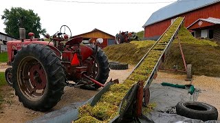 Could That Pile Get Any BIGGER Chopping Corn Silage 2023 [upl. by Juetta962]