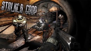 We Played STALKER Multiplayer Stalker COOP Is Here  Shadow Of COOP [upl. by Conroy196]