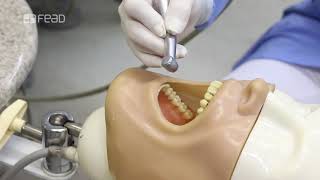 Fundamentos da Prática Odontológica  Aula 02 [upl. by Oehsen]