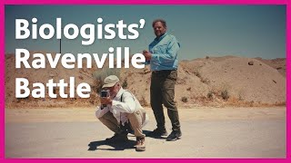 Ravenville Why Birds Flock to Desert Human Wastelands  Earth Focus  PBS SoCal [upl. by Deloris54]