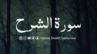 Surah Alam Nashrah  Ch  94  In heart touching voice of Hamza sheikh sabherwal quranrecitation [upl. by Sorrows440]