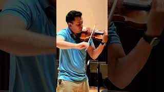 Sibelius Violin Concerto [upl. by Pik597]