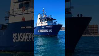 Spotted this Sea Shepherd Vessel marine life ship protection travel trip video shorts [upl. by Wedurn]