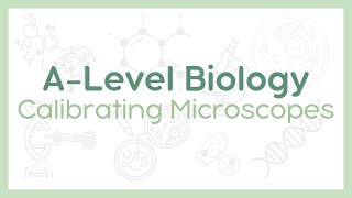 CALIBRATING MICROSCOPES  Eyepiece and stage graticules  ALevel Biology AQA OCR Edexcel [upl. by Aiuhsoj]