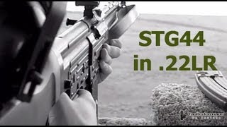 STG44 in 22LR by GSG  Ammo Test [upl. by Nalyak]