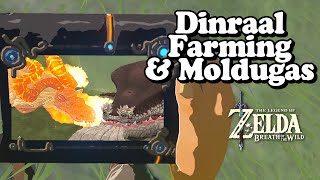 Future Video Footage Dinraal amp Molduga Zelda Breath of The Wild [upl. by Monro]