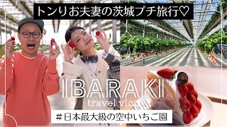 【トンりお夫妻の茨城プチ旅行】空中いちご狩り＆いちごスイーツ満喫体験 [upl. by Nuhs]