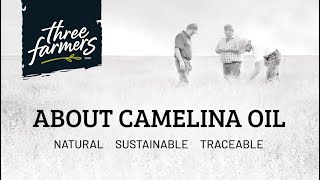 About Camelina Oil by Three Farmers [upl. by Ibby]