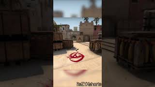 CSGO Flashbang Roll Shorts [upl. by Kirsten126]