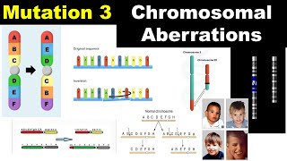 Chromosomal Aberrations  Duplication  Deletion  Inversion  Translocation  Dr Ghanshyam Jangid [upl. by Sugirdor391]