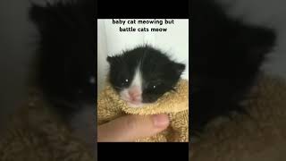 Baby cat meowing but its the battle cats meow sound effect [upl. by Airotahs538]