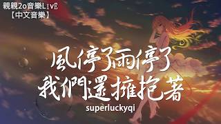 superluckyqi  風停了雨停了我們還擁抱著【動態歌詞Lyrics】 [upl. by Roderic]