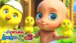 🐥Los Pollitos Dicen Pio Pio  La Vaca Lola 🐮 Canciones Infantiles Para Niños  LooLoo español [upl. by Ahsenauj158]